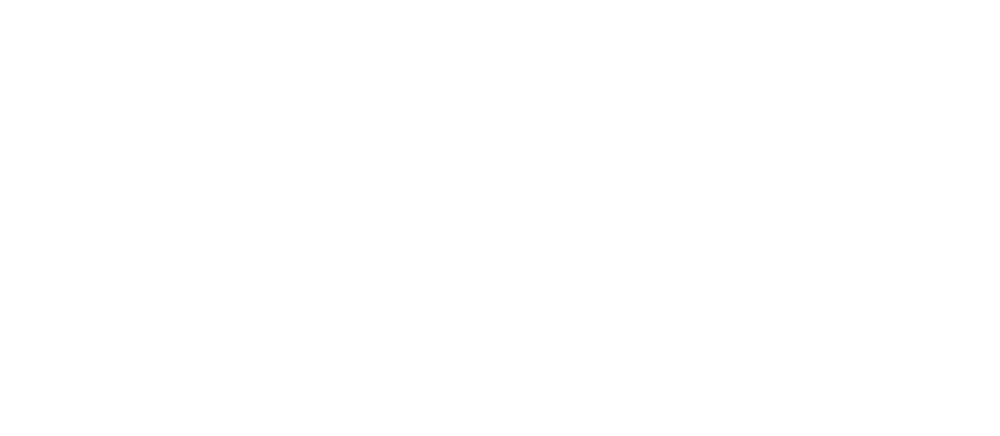 Whooshka Media Logo